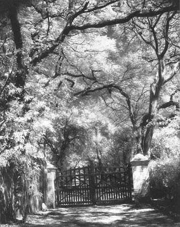 Meher Gates - Photo taken by Beth Ganz