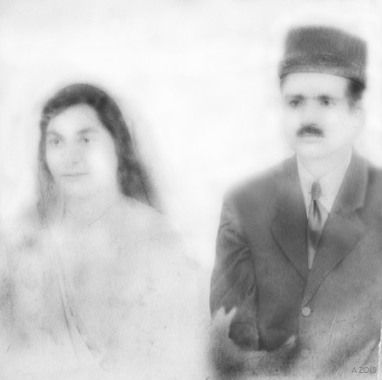 Rustom & Freiny's Wedding Photo