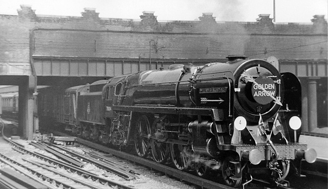  Golden Arrow