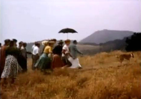 1956 : Image captured by Anthony Zois from a film by Sufism Reoriented