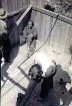 Sam sitting in the corner of a cabin under construction at Oceano, CA.
