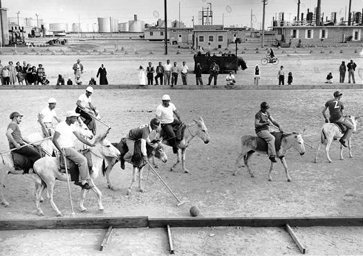 A Polo game using donkeys.
