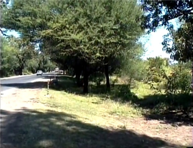 The car crash site shortly afterwards near Udtare.