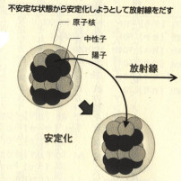 神経伝達の改善効果