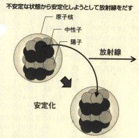 神経伝達の改善効果