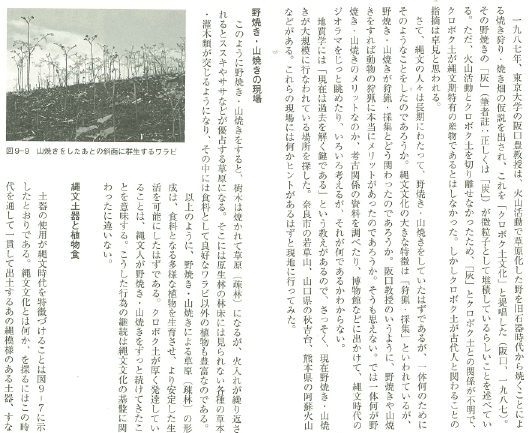 日本の土　地質学が明かす黒土と縄文文化　著者山野井　徹