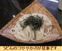 日本三大うどんの水沢うどん 水はクラスター旺盛?