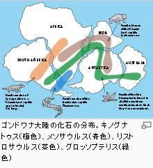 ゴンドワナ大陸の動植物はアフリカから出発している