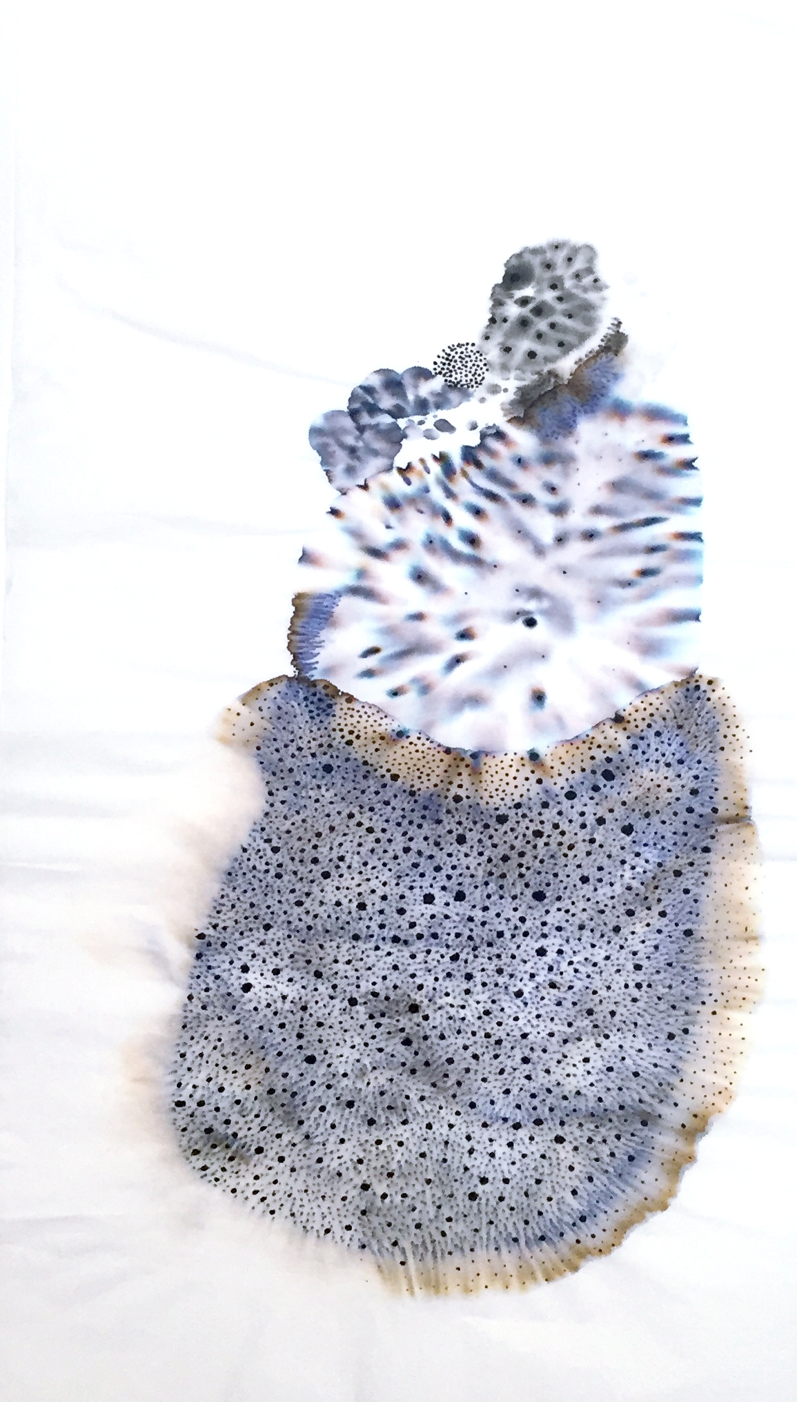 Concretion