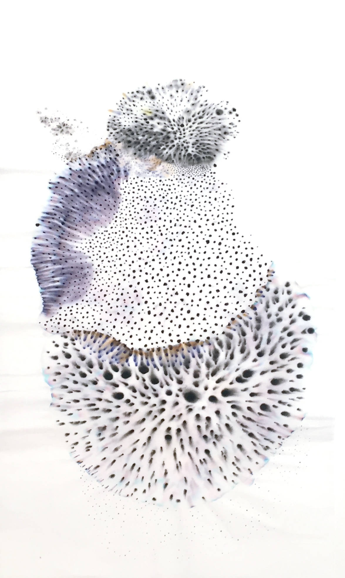 Concretion
