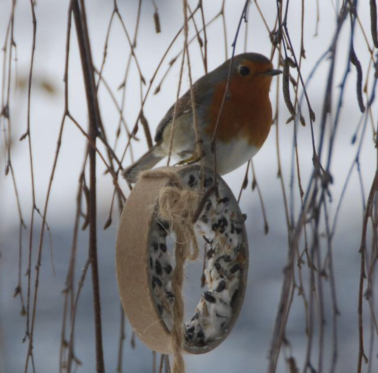 Der Garten im Winter