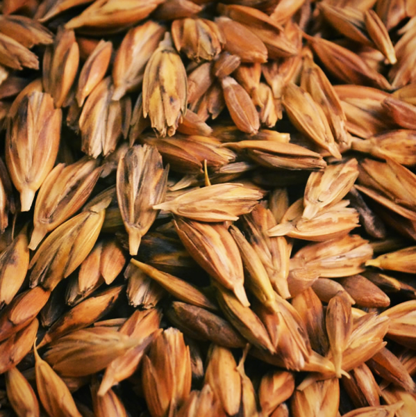 Il Farro Dicocco Benvenuti Su Farinaaurum Di seguito un approfondimento sul farro dicocco perlato da 500 gr farina aurum jimdo