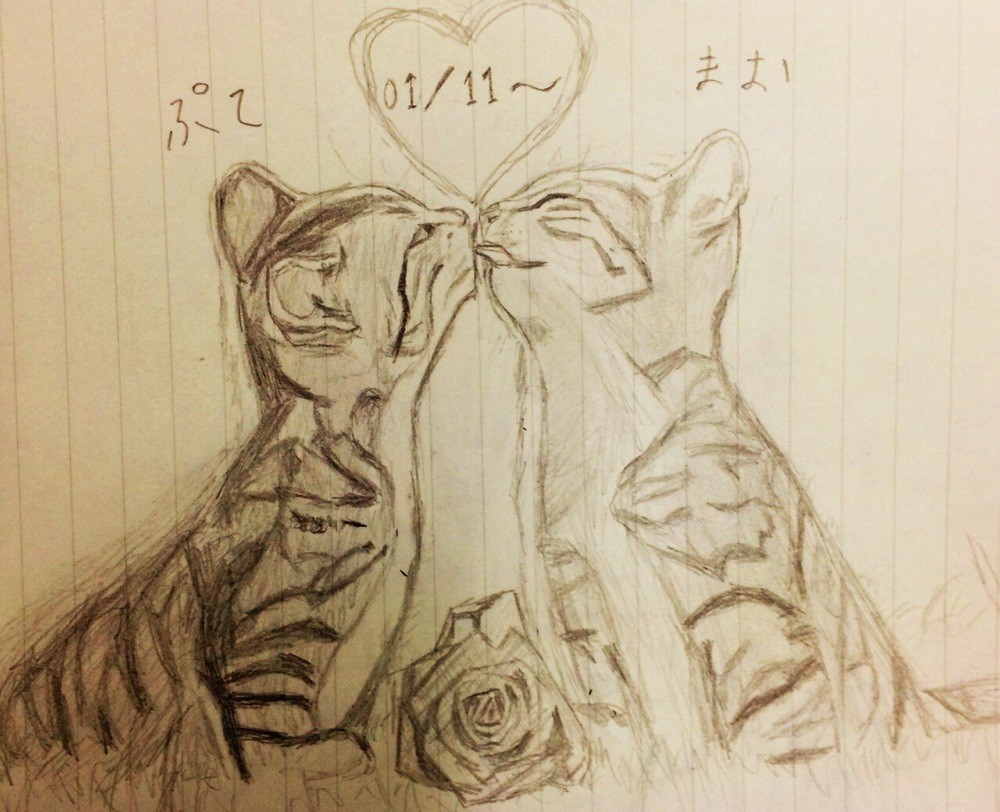 since 01/11