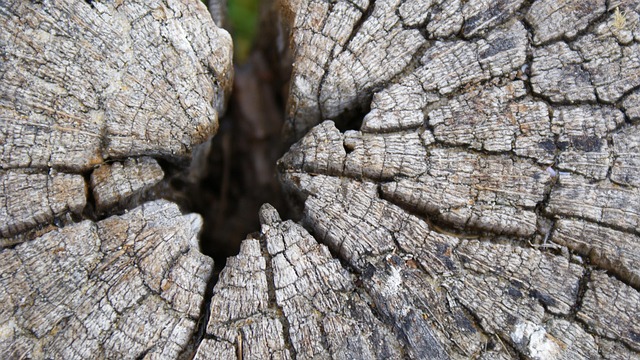 16. dumengia ordinaria (C) – secunda lecziun