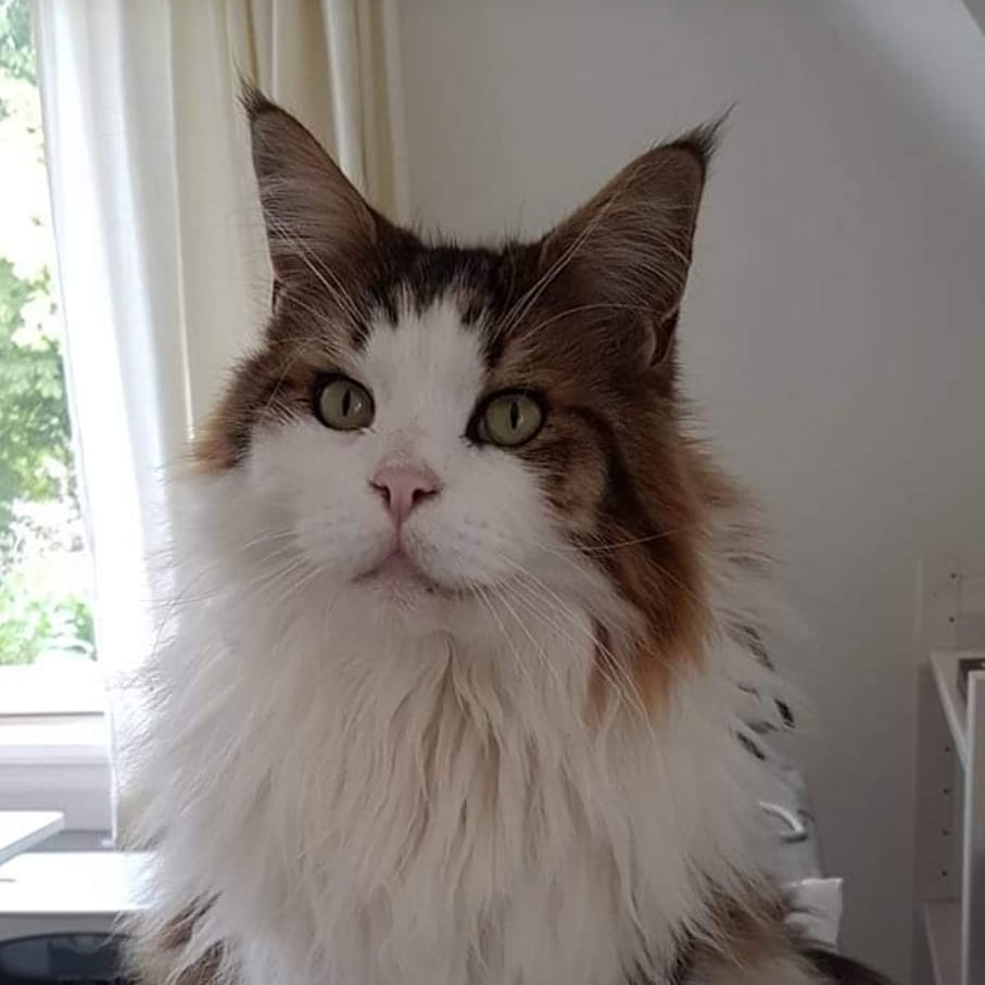 Wat???? Je bent nu toch wakker!