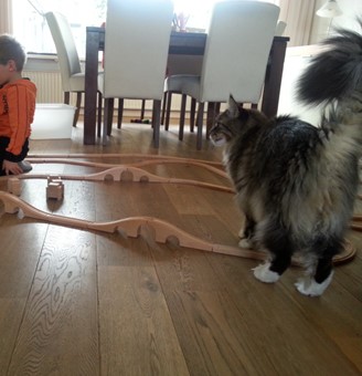 Logés en onze katten