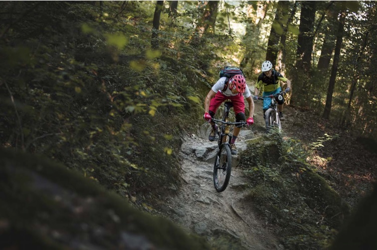 Technische Stelle auf einem Trail in den Vogesen.