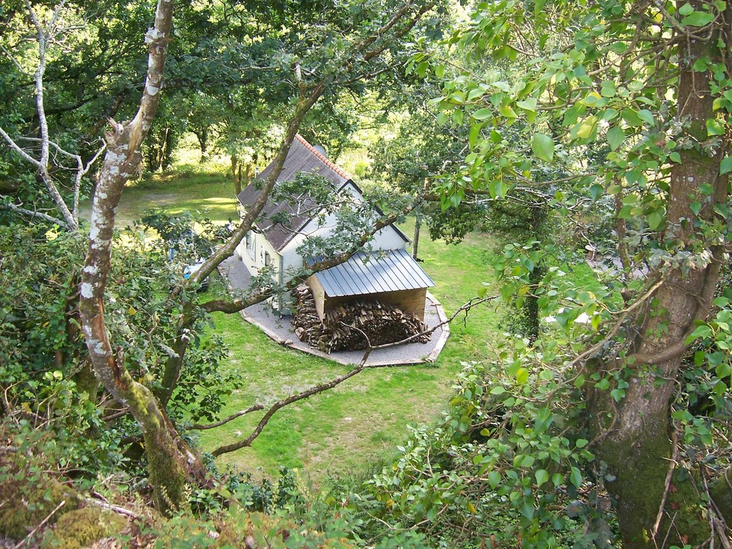 Dans un nid de verdure