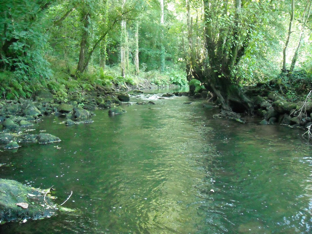 La rivière du Steir à deux pas du gîte