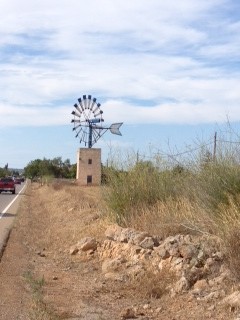 Windmühle Mallorca - Urlaub ab 50plus