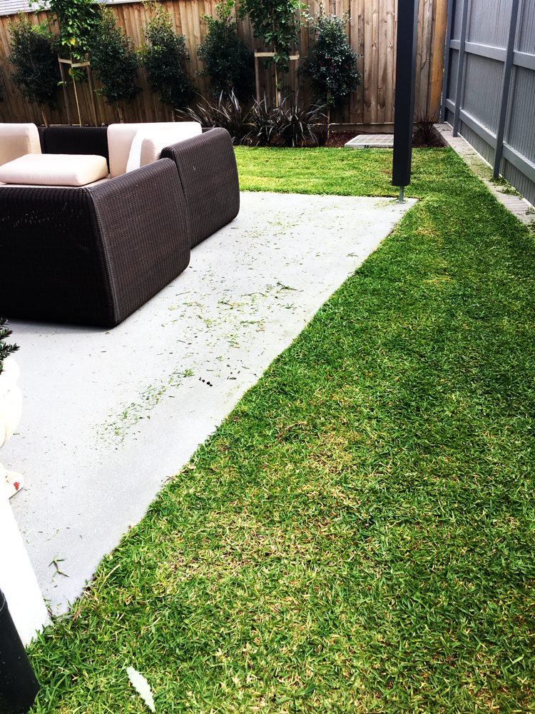 Grass cut with edging after