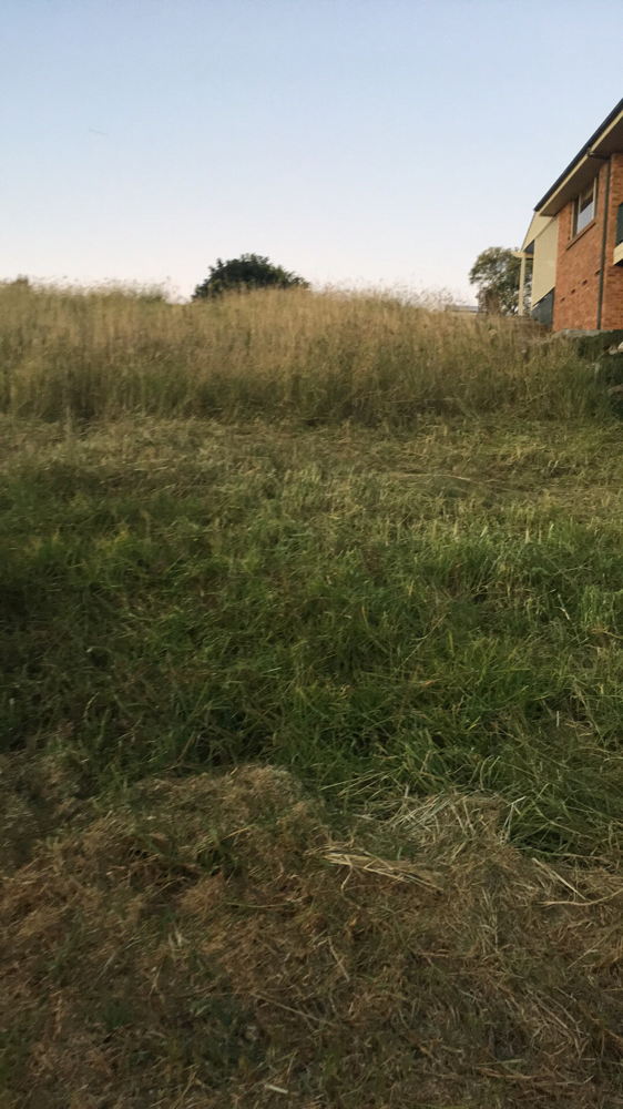 1000sqm job before 