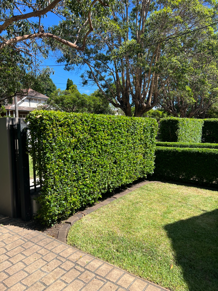 Homebush job AFTER