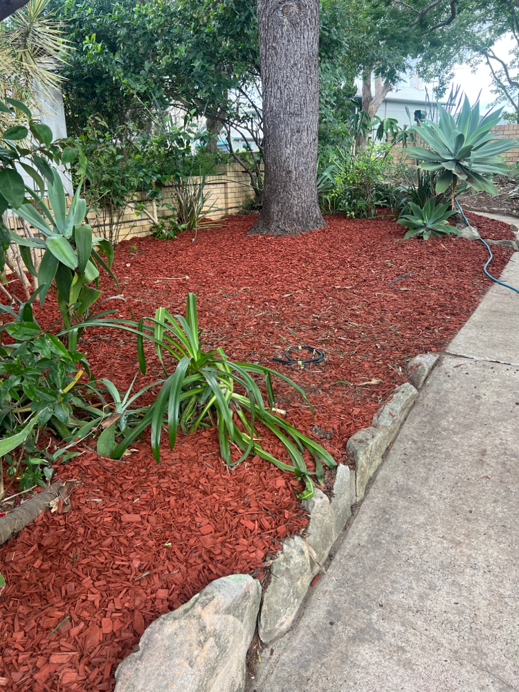 Garden maintenance with red mulch 