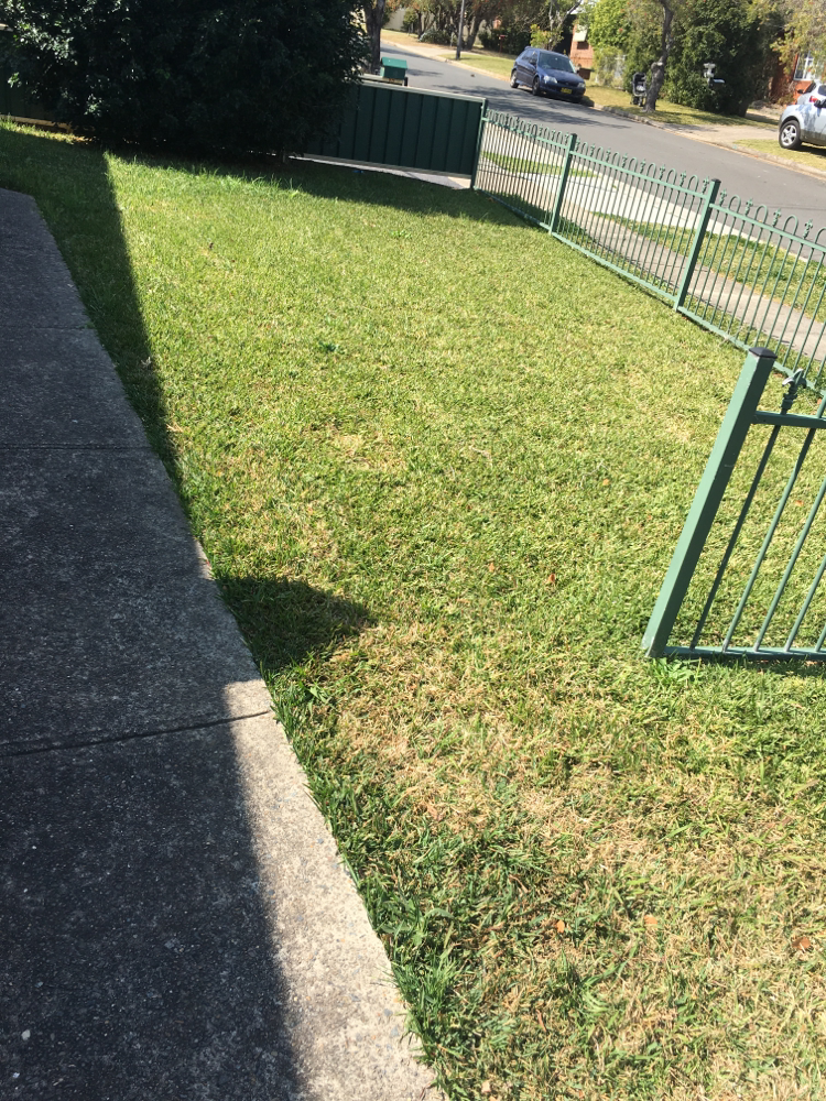 Belmore job done 👌
