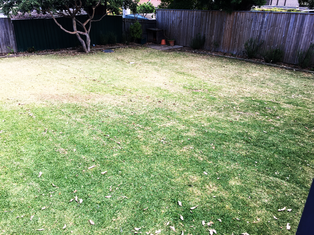 Grass cut finish 