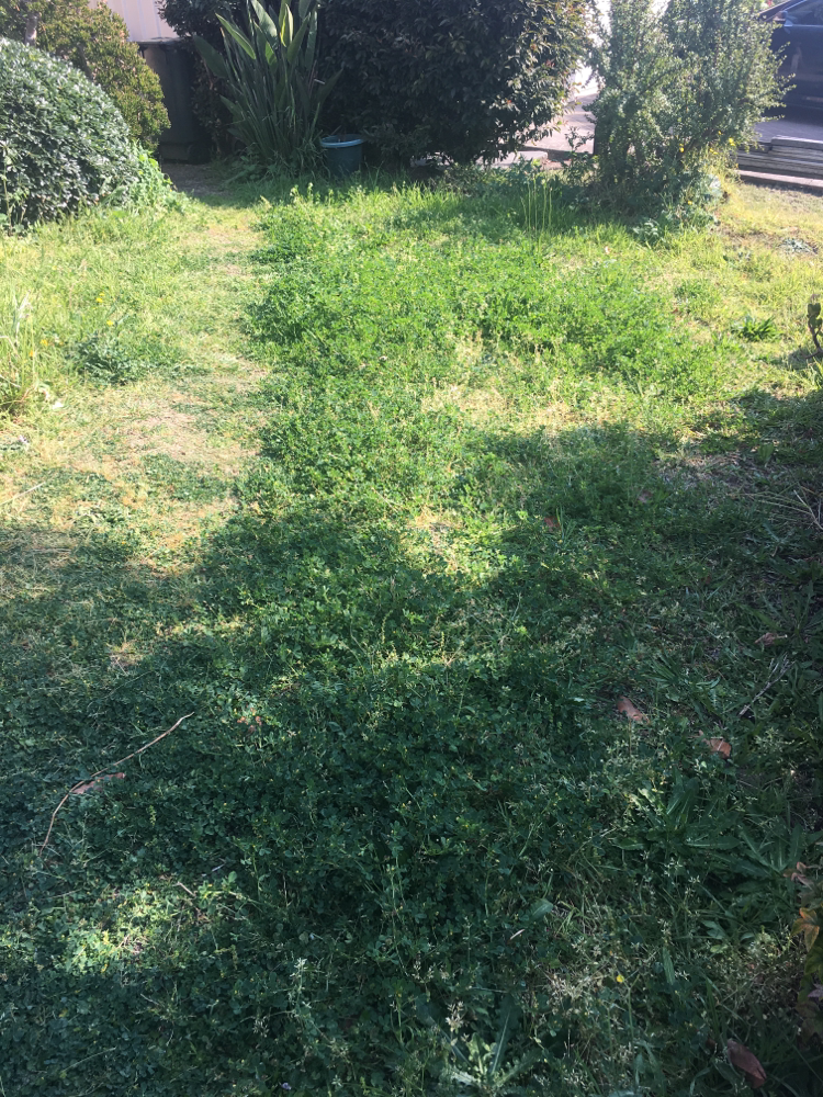 BEFORE