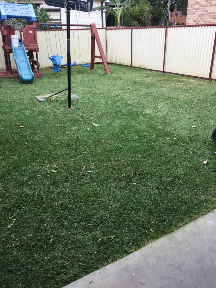 CONDELL PARK AFTER