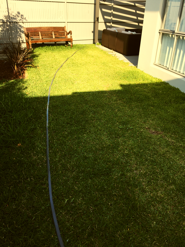 Grass cut before