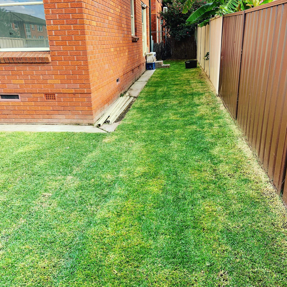 Wiley Park job-Brand new grass with a nice clean cut 👌
