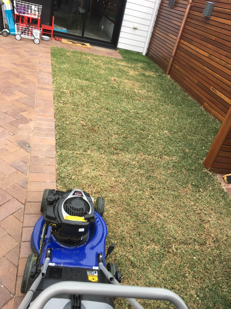 Belmore job 