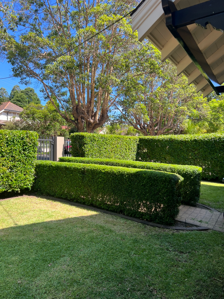 Homebush job AFTER
