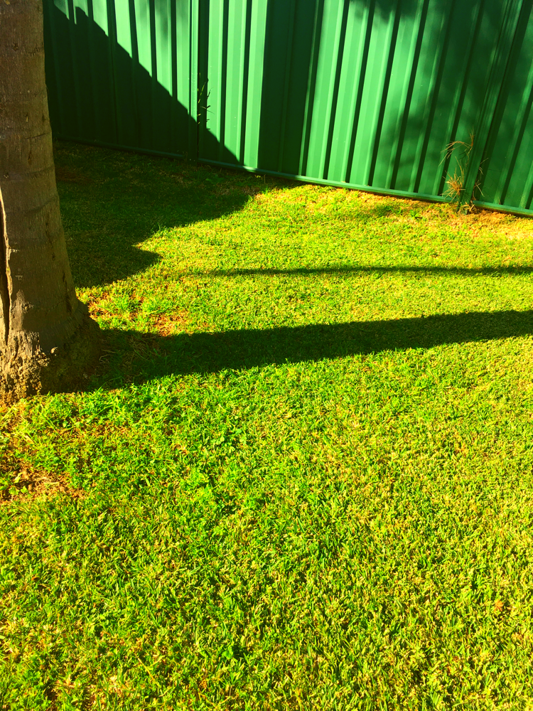 Lurnea job before 