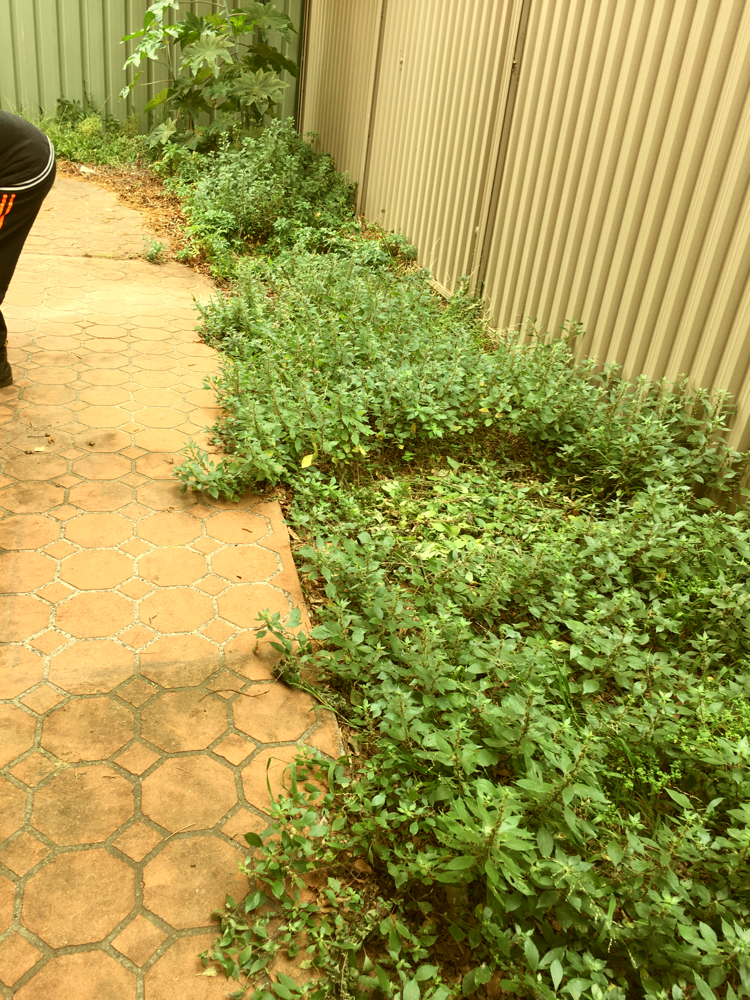 HURSTVILLE JOB BEFORE 