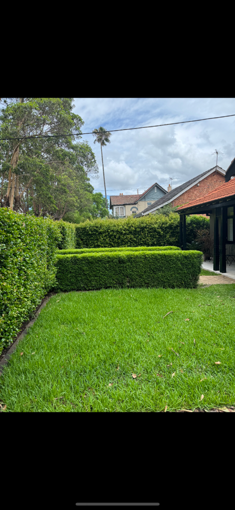 Homebush job BEFORE 