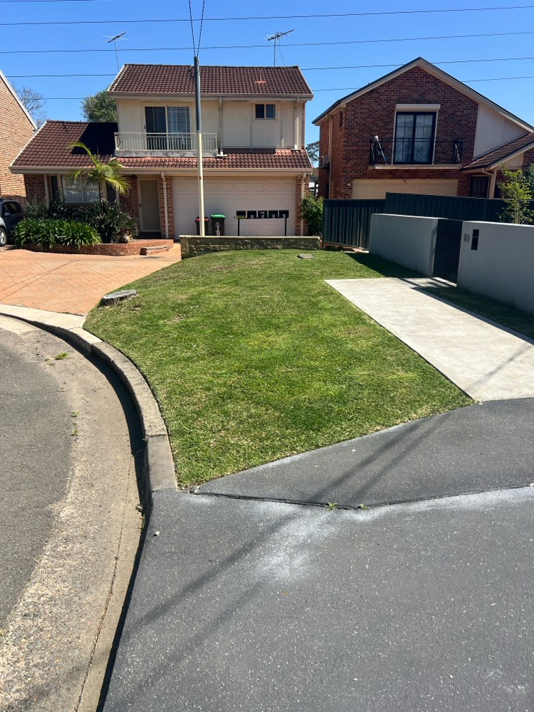 Always make your lawns look amazing 👌