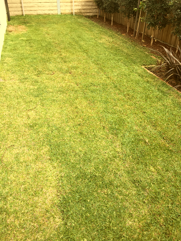 Grass cut after 👌
