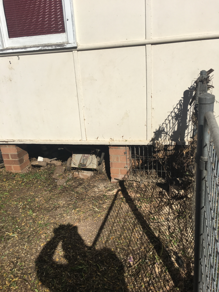 Tree removal after