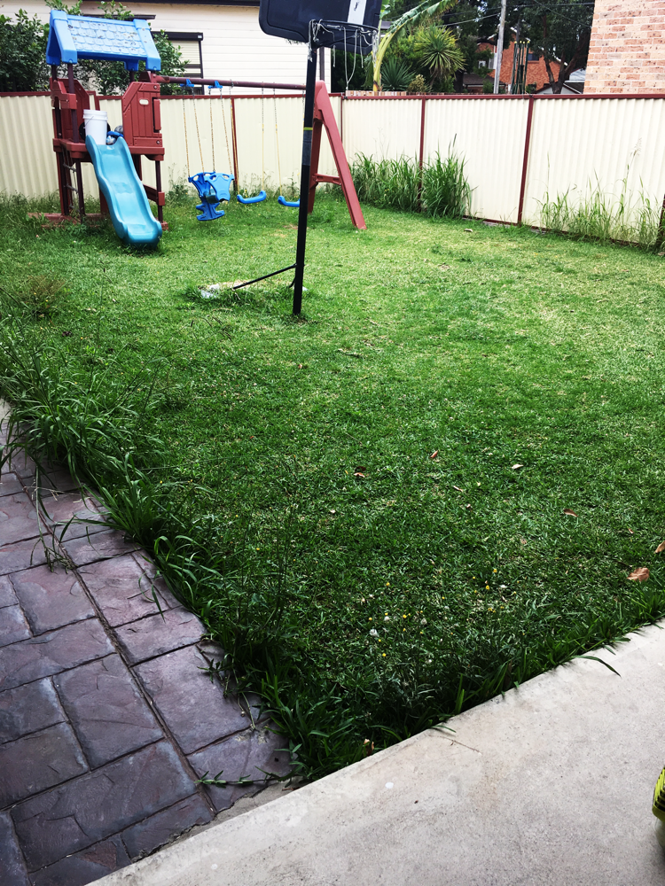 CONDELL PARK JOB BEFORE 