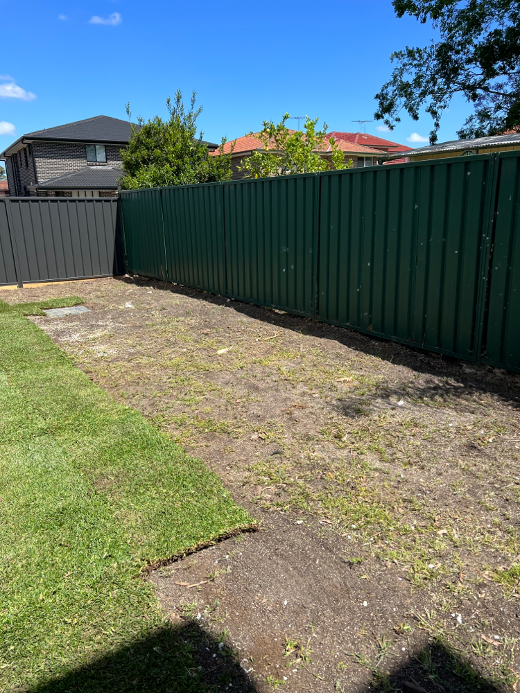Laying the grass 