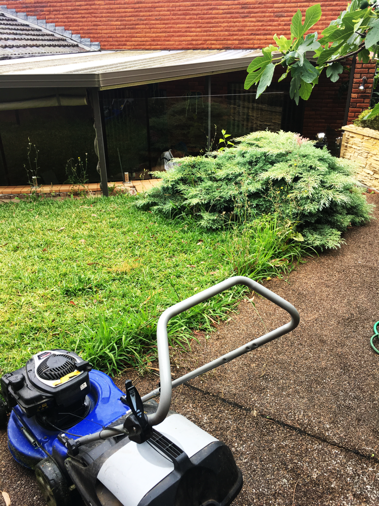 Earlwood job BEFORE