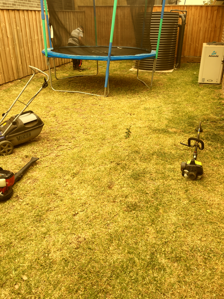 BEFORE 