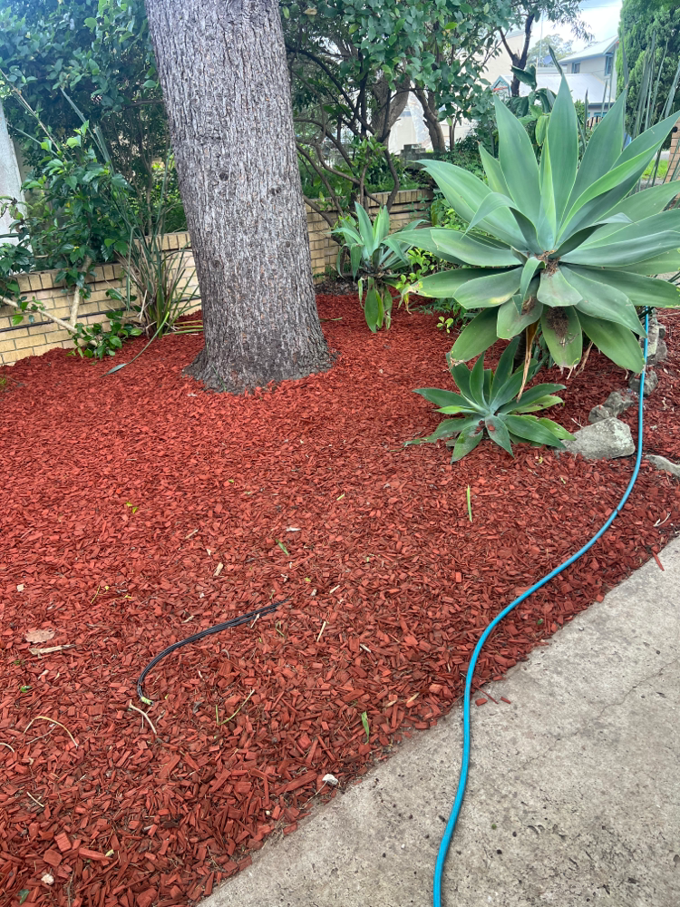 Garden maintenance with red mulch 