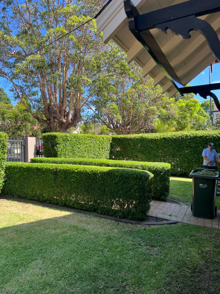 Homebush job AFTER  