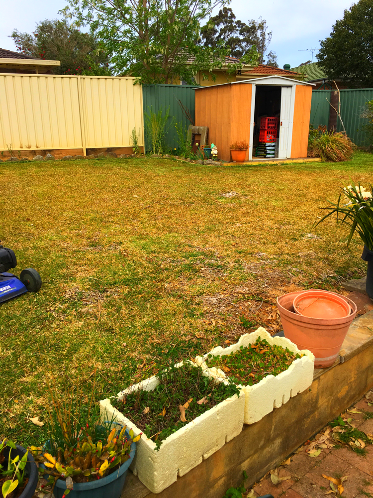 MACQUARIE FIELDS JOB AFTER