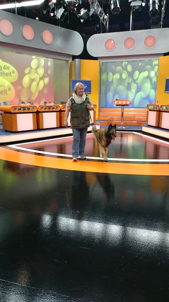 Hundeführer und Hund können zusammen das Studio erkunden.